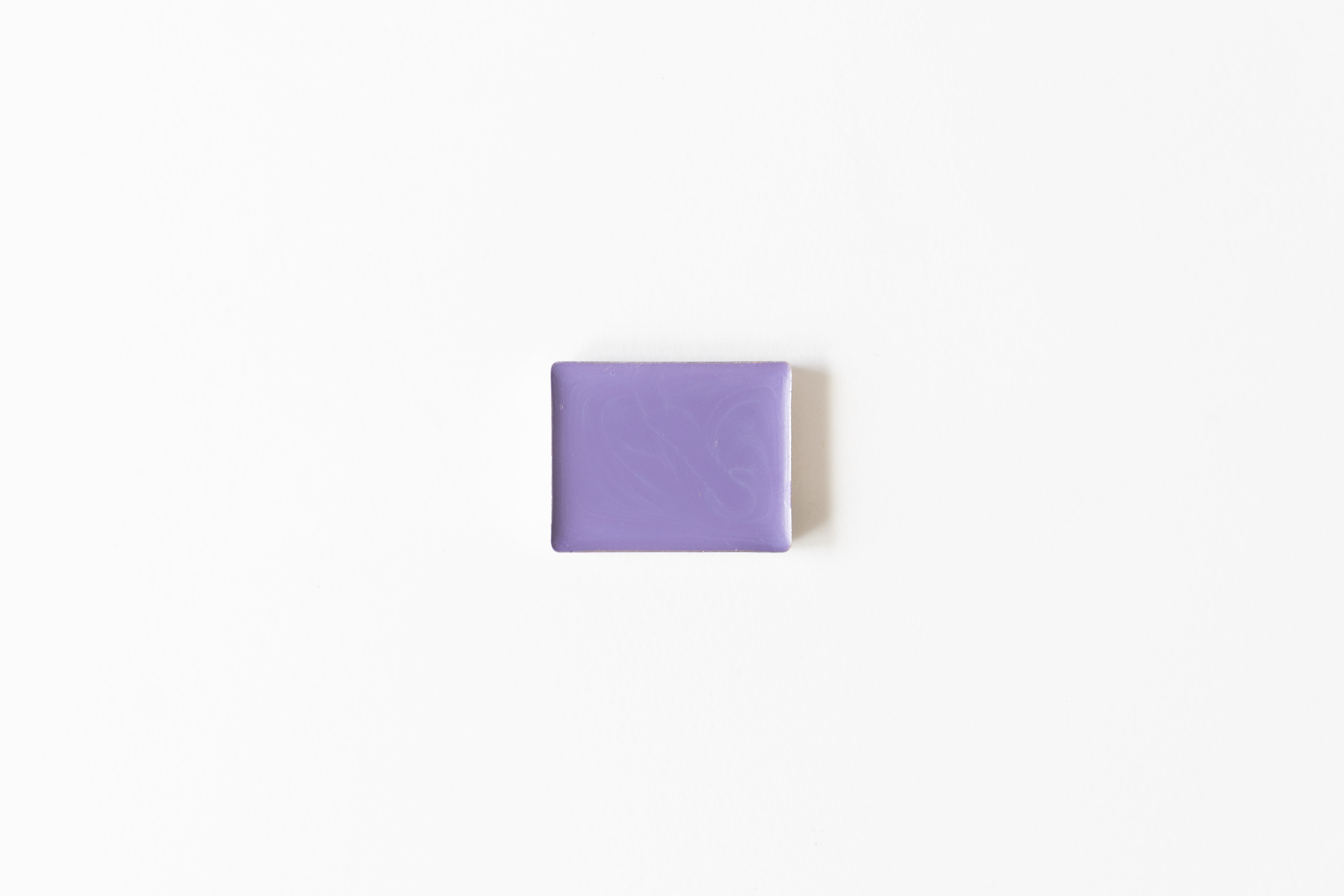 Bloom with Color (Spring Limited Edition)
