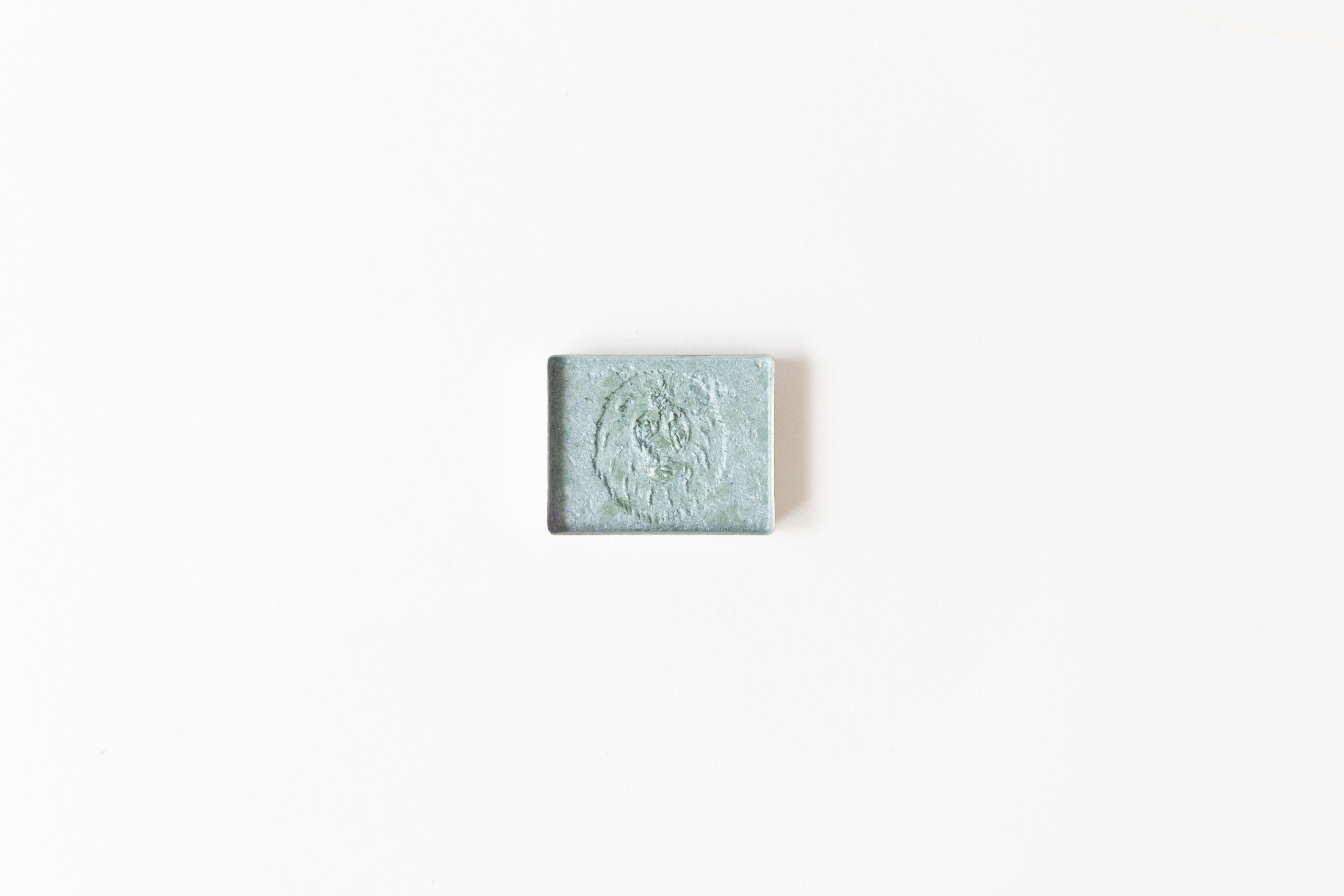 Bloom with Color (Spring Limited Edition)