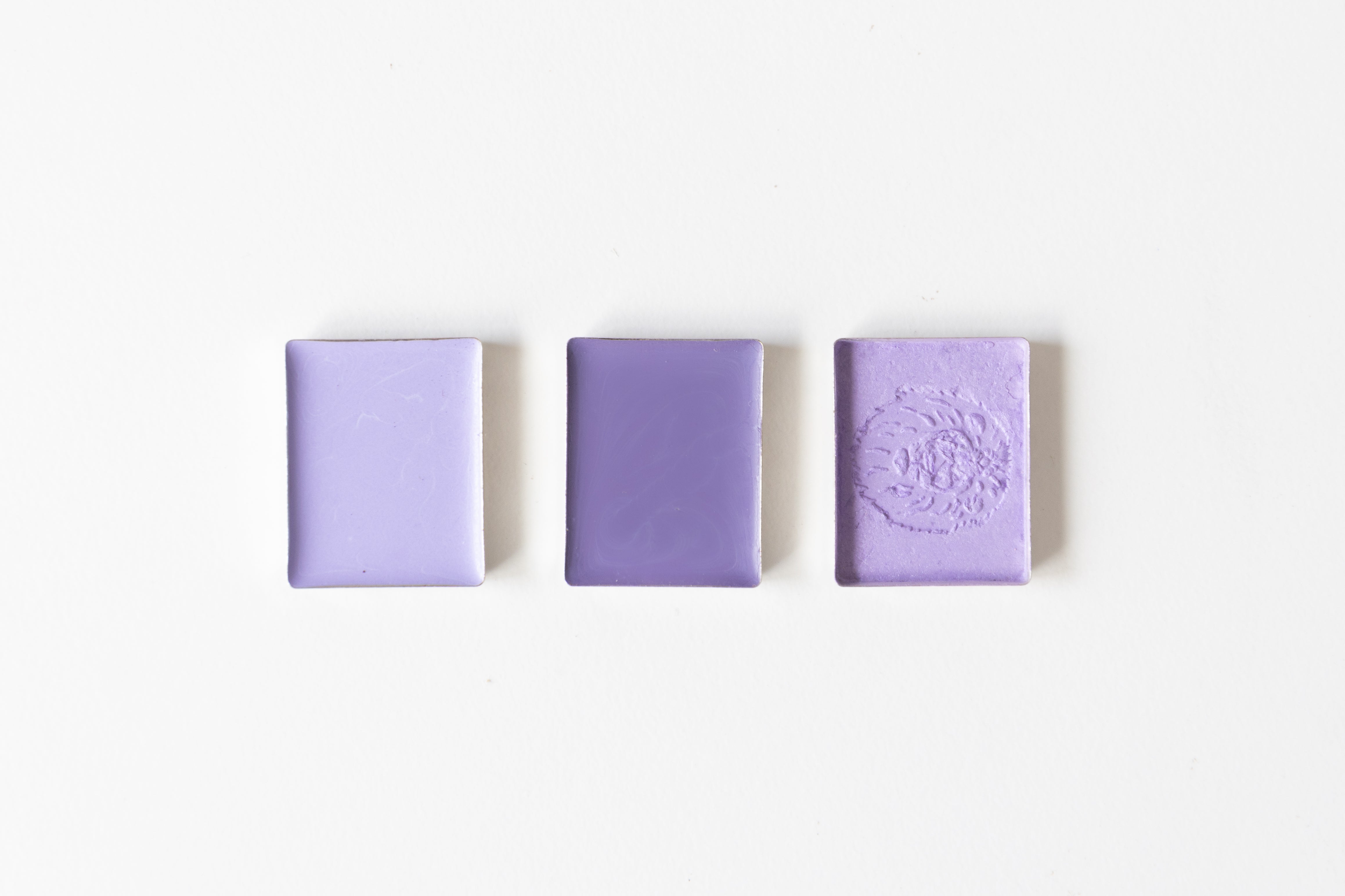 Bloom with Color (Spring Limited Edition)