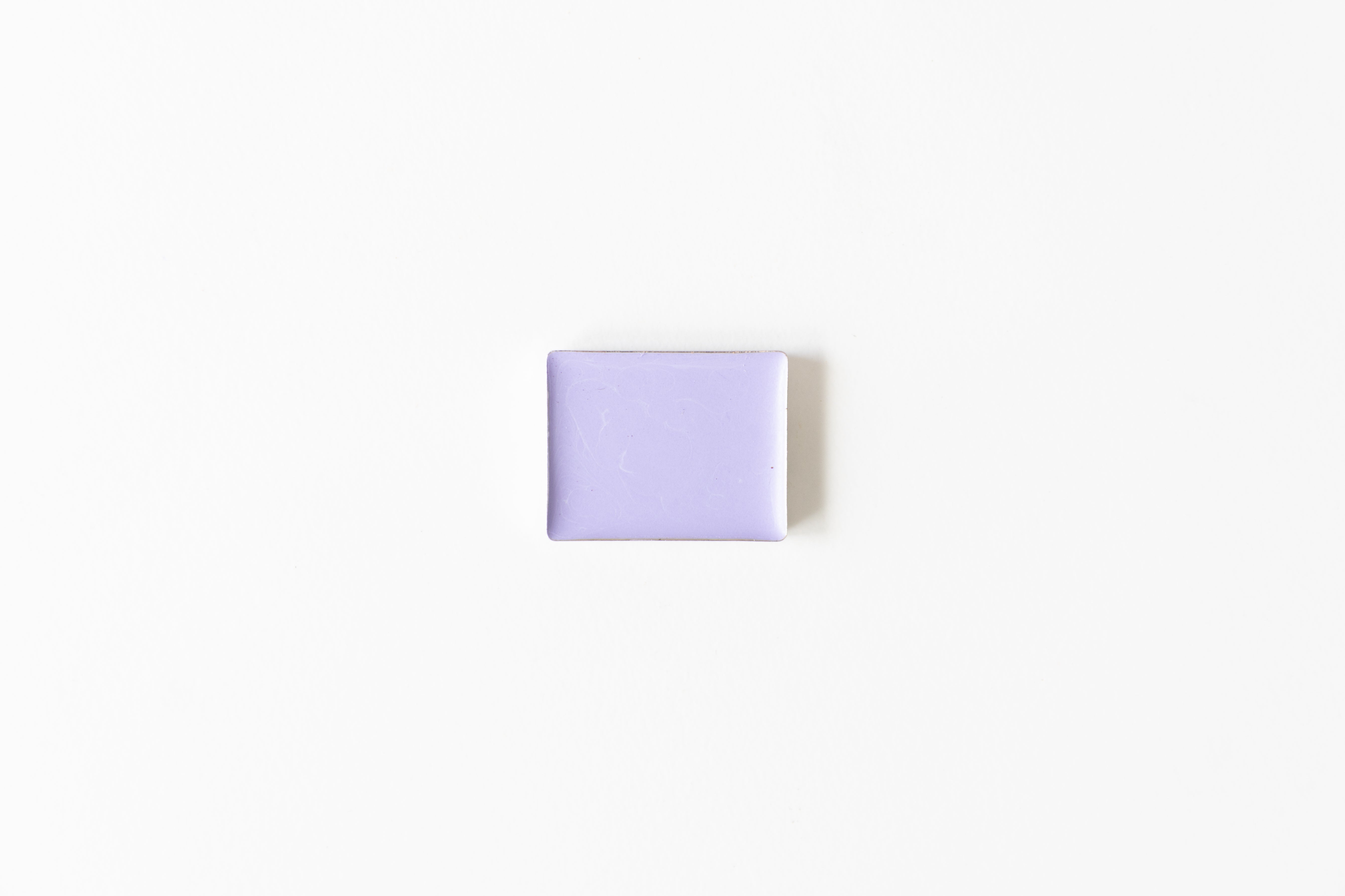 Bloom with Color (Spring Limited Edition)