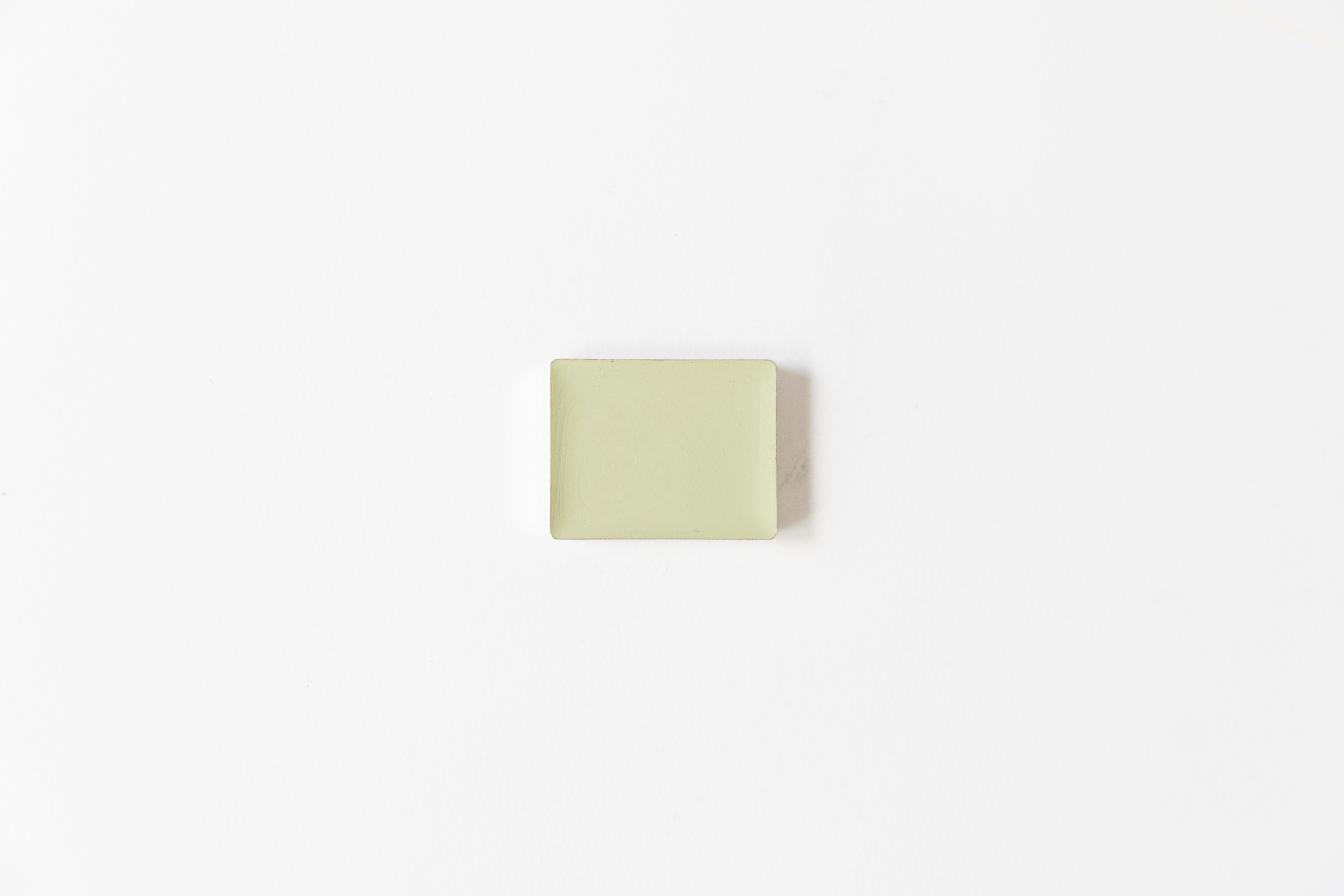 Bloom with Color (Spring Limited Edition)